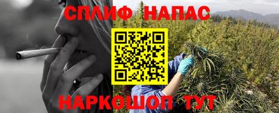 мяу мяу мука Малгобек