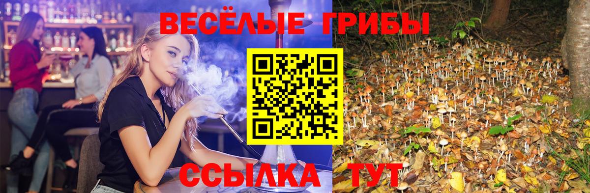 Псилоцибиновые грибы MAGIC MUSHROOMS Жигулёвск