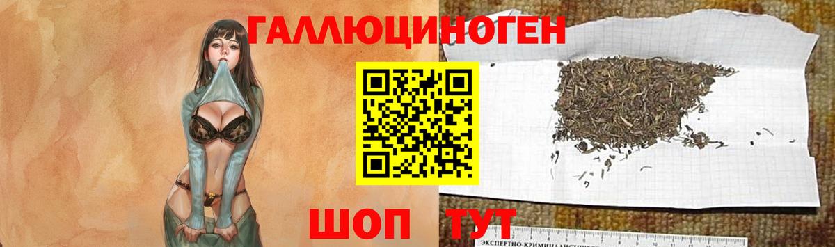 Псилоцибиновые грибы мицелий  Вход с VPN  Жигулёвск  Псилоцибиновые грибы Psilocybine cubensis 